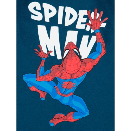 Spidey and His Amazing Friends Juliste, Poster